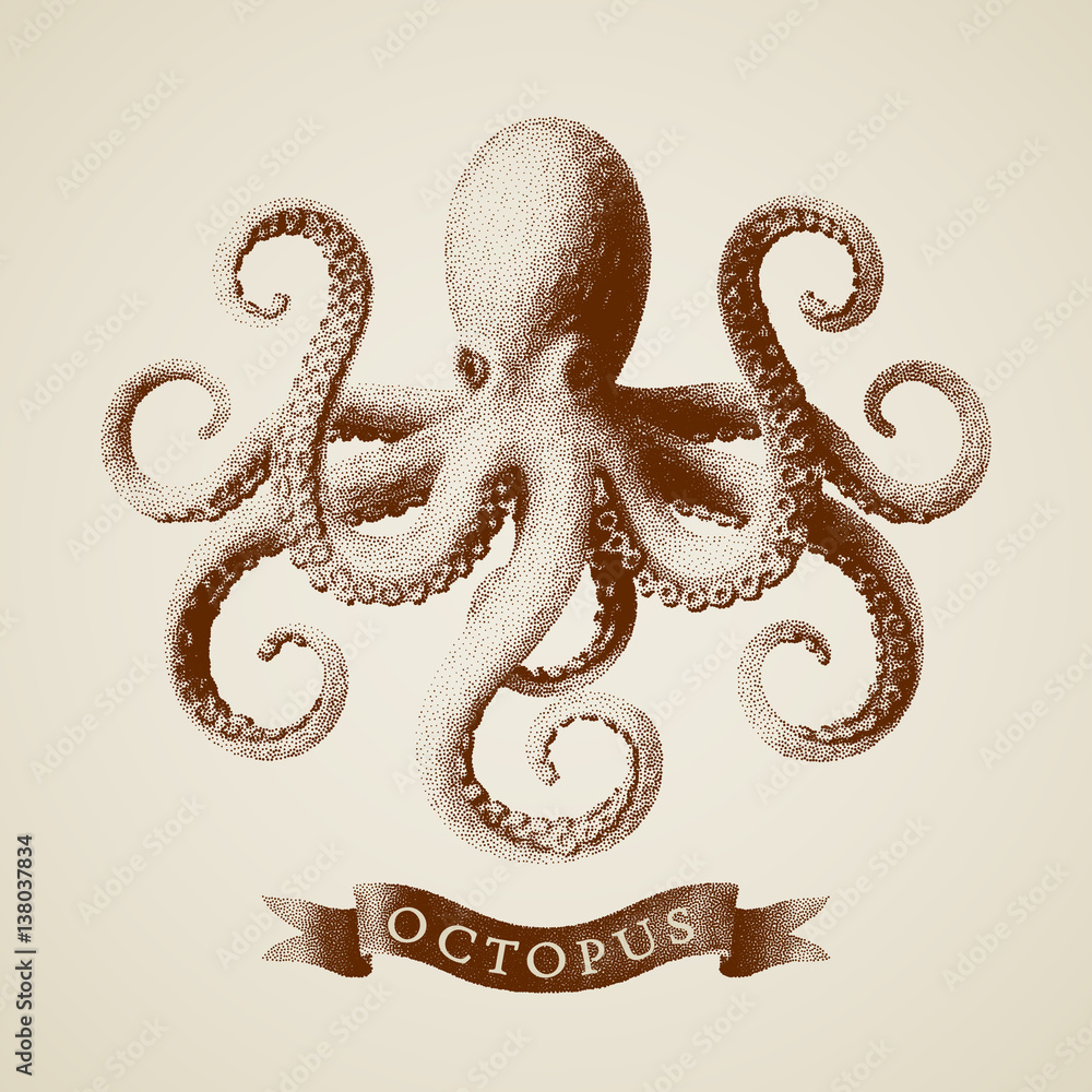 Vector octopus painted in engraving style Stock Vector Adobe Stock