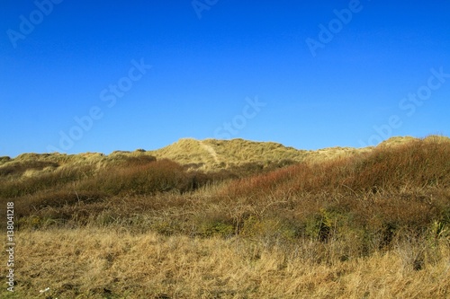 BEACH OF AMBLETEUSE , DUNES OF SLACK , FORT MAHON , PAS DE CALAIS , HAUTS DE FRANCE, FRANCE