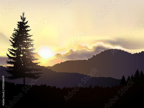 North american landscape. Silhouette of coniferous trees on the background of mountains and colorful sky. Sunset. Yellow ans grey tones.