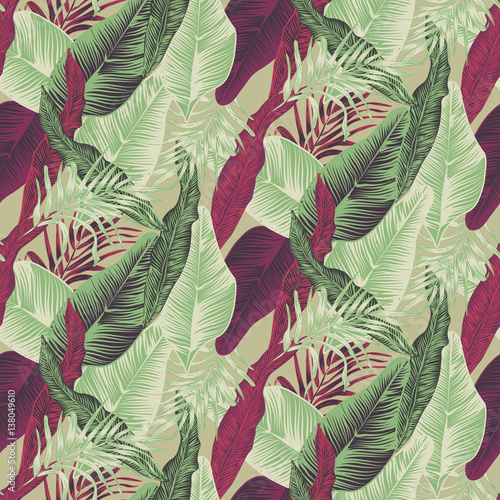 tropical plants