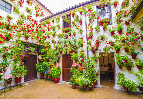 Fototapeta Naklejka Na Ścianę i Meble -  Traditional courts with flower in Cordoba, Spain