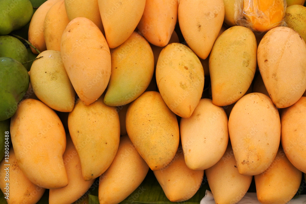 The mango is a juicy stone fruit, the most popular fruit in the World The mango is a juicy stone fruit, the most popular fruit in the World