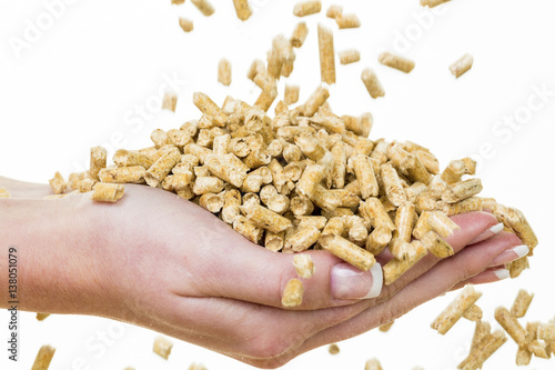 Obraz na płótnie Hand mit Pellets als alternatie Energie