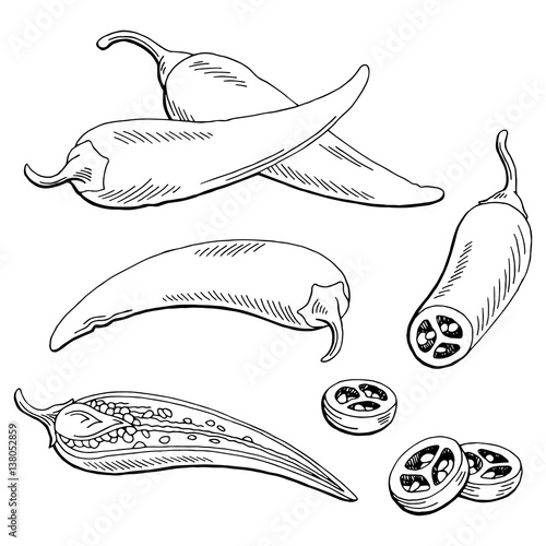 Chilli pepper graphic black white isolated sketch illustration vector