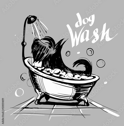 Dog wash