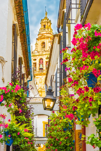 Calleja de las Flores, Cordoba, Spain Stock Photo | Adobe Stock