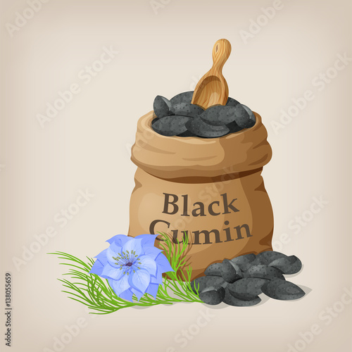 Nigella sativa (Black cumin) in small sack.