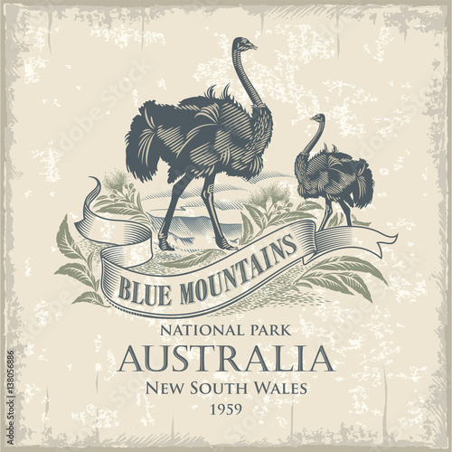 Австралийский Страус, национальный парк Голубые Горы, Австралия, имитация гравюры, винтаж, иллюстрация, вектор photo