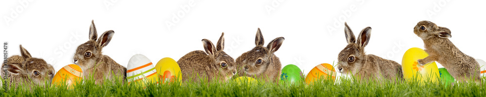 Fototapeta premium Frohe Ostern