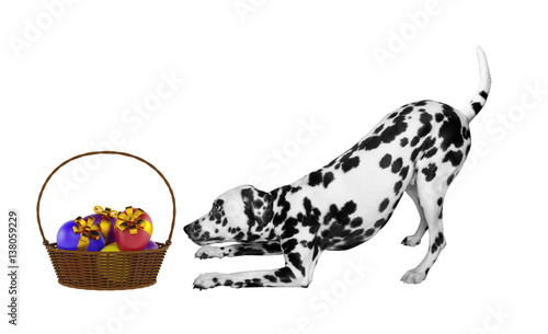 Cute Easter dog with eggs in basket isolated on white photo