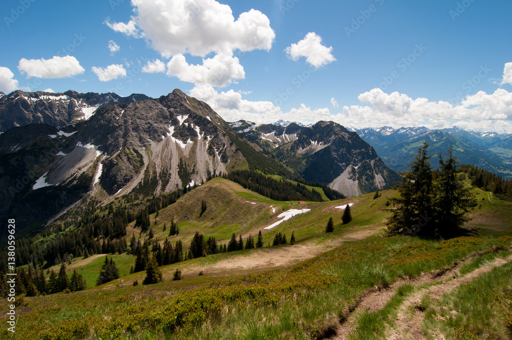 Bergwiese mit zwei Tannen und Ausblick auf das Gebirge