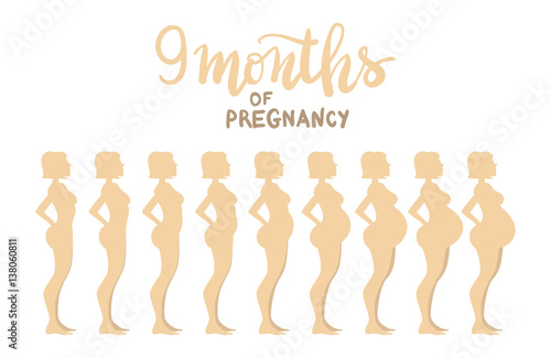 Stages of pregnancy 9 months. Woman side view. Cartoon vector illustration. Inscription: "9 months of pregnancy"