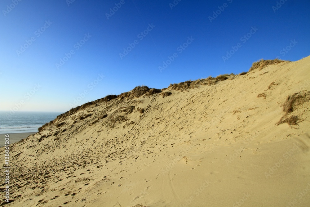 BEACH OF AMBLETEUSE , DUNES OF SLACK , FORT MAHON , PAS DE CALAIS , HAUTS DE FRANCE, FRANCE


