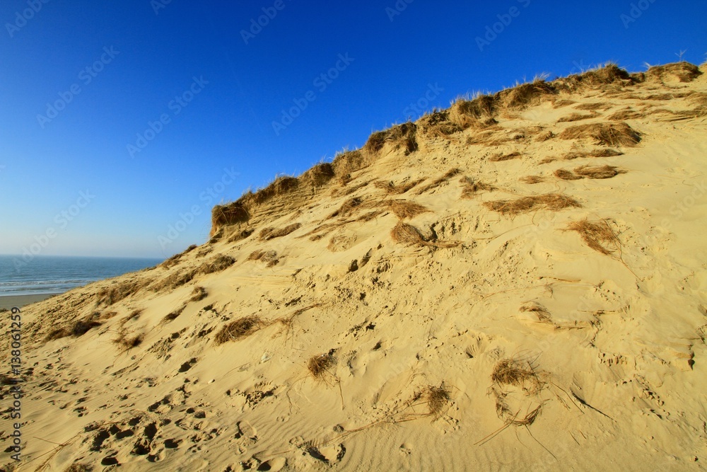 BEACH OF AMBLETEUSE , DUNES OF SLACK , FORT MAHON , PAS DE CALAIS , HAUTS DE FRANCE, FRANCE


