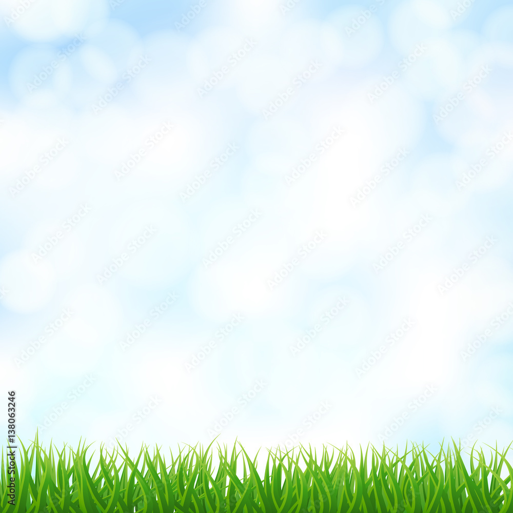 blurry sky background with green grass. vector