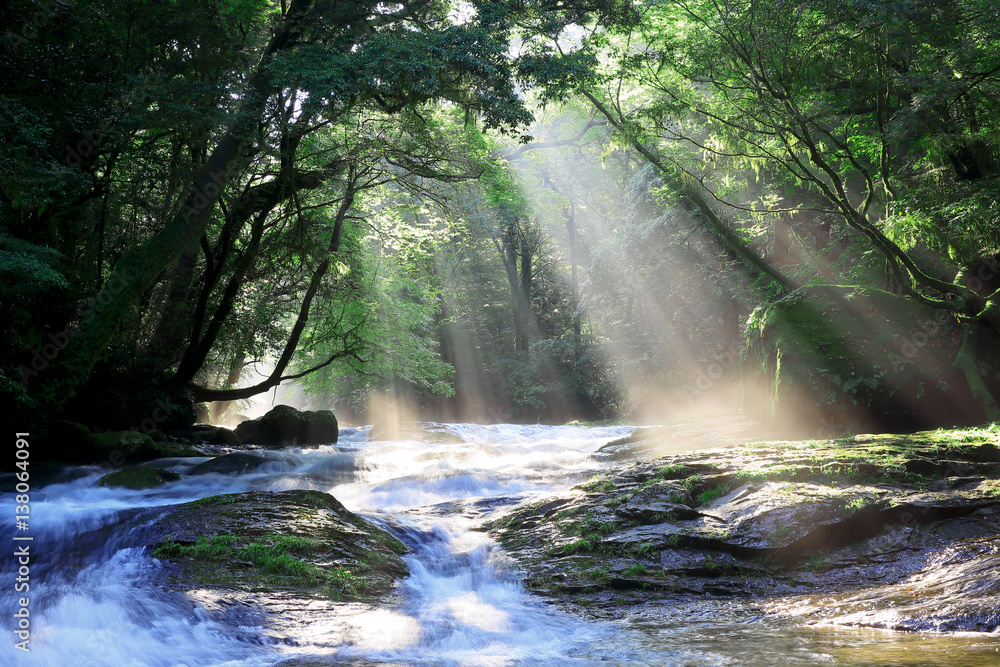 Obraz premium 日本の風景-菊池渓谷