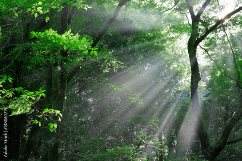 日本の風景-菊池渓谷