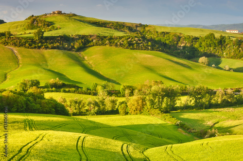 hill, outdoor, sunlight, tree, italian, meadow, agriculture, green, spring, italy, view, farmland, seasonal, field, tuscan, scenery, cypress, vineyard, grass, summer, farm, village, countryside, panor