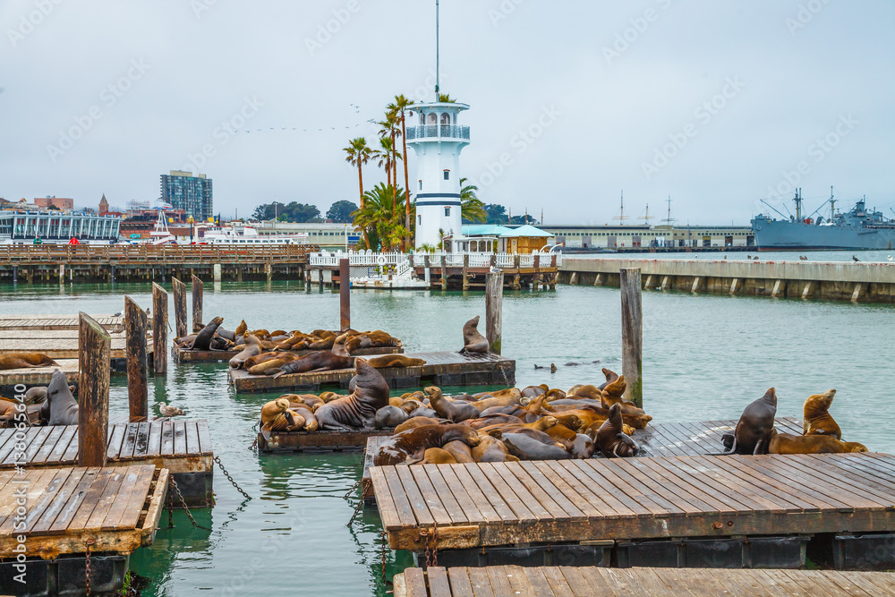 San Francisco Pier 39 and Fisherman S Wharf Editorial Stock Image