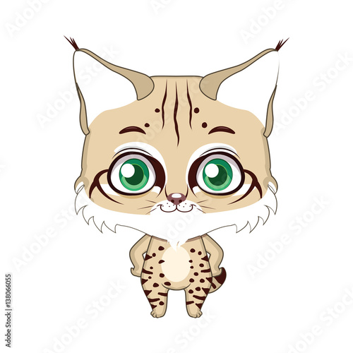 Cute stylized cartoon lynx illustration ( for fun educational purposes, illustrations etc. )