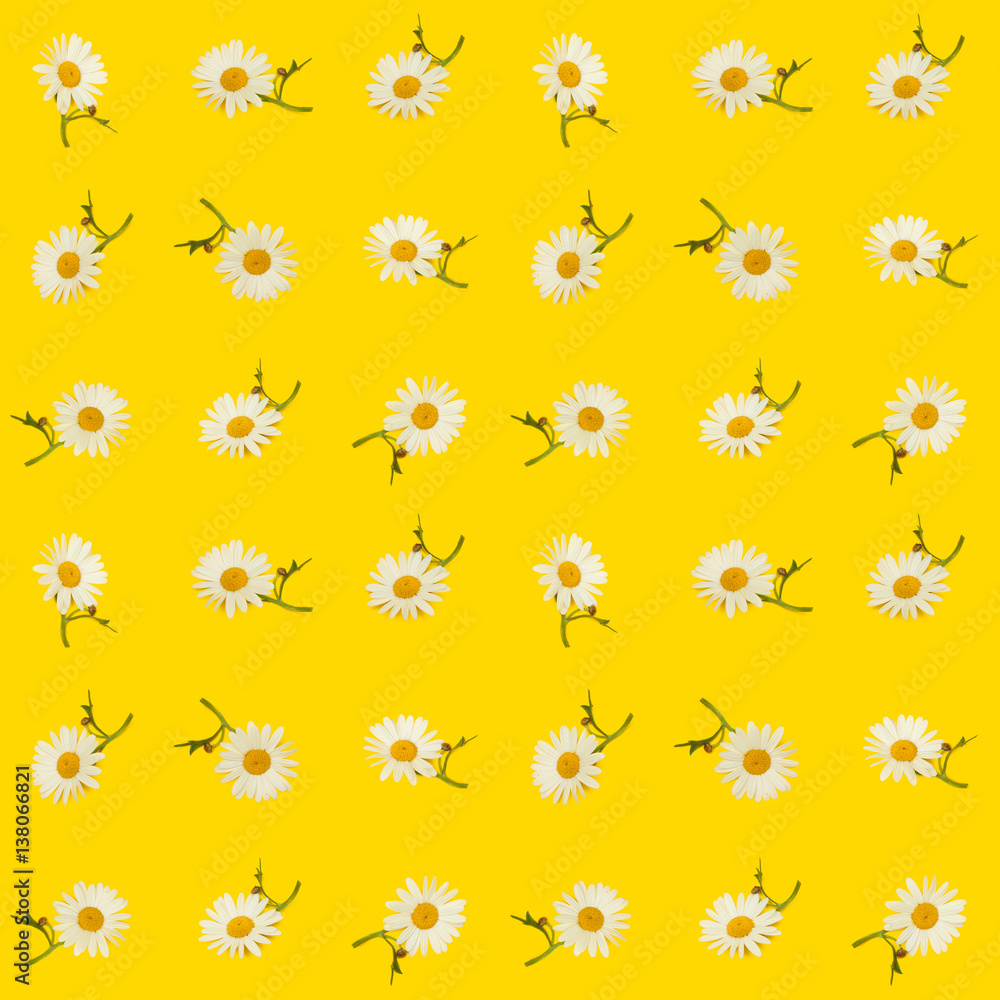 Cute Seamless Photographic Flower Pattern, Daisies on Yellow Background Cute Seamless Photographic Flower Pattern, Daisies on Yellow Background