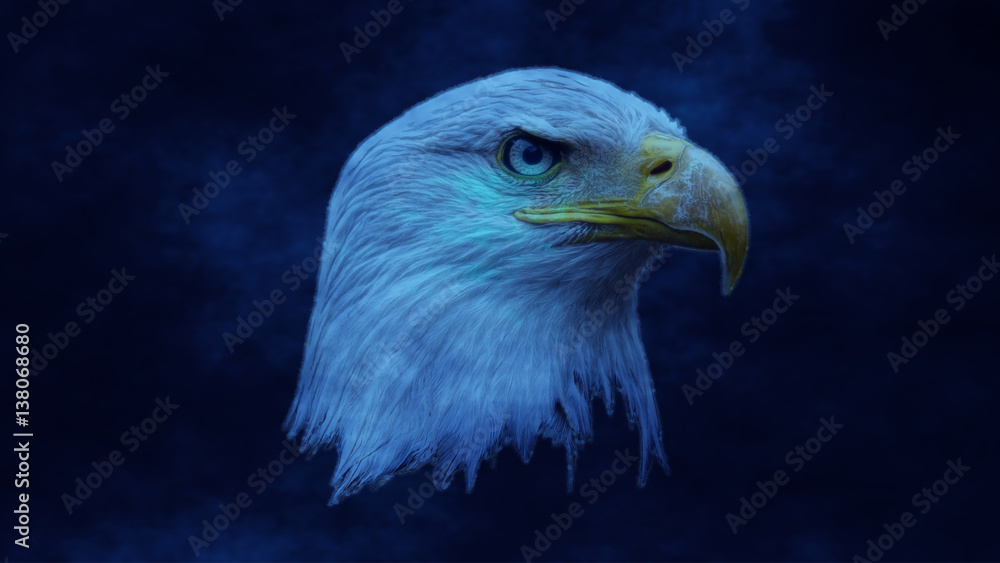 Obraz premium Adelaar op een blauwe achtergrond