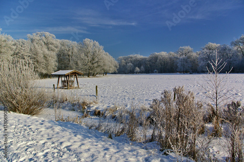 Verschneiter Bürgerpark in Bremen photo