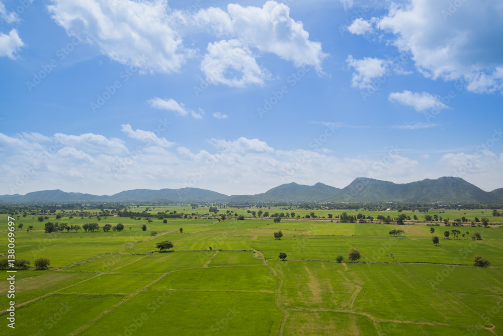 field on a background of the blue sky