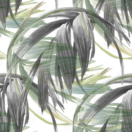 Fototapeta szare liście palmy
