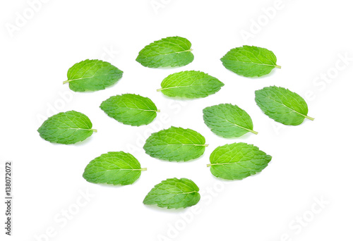 Mint leaves isolated on white background