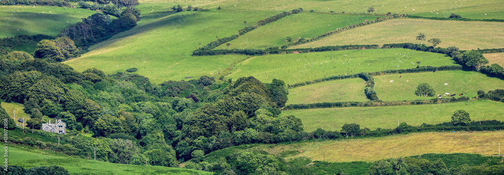 Lonely house in the hills of Exmoor. Around the house in the meadows of cows and sheep. Clear day. Devonian. UK