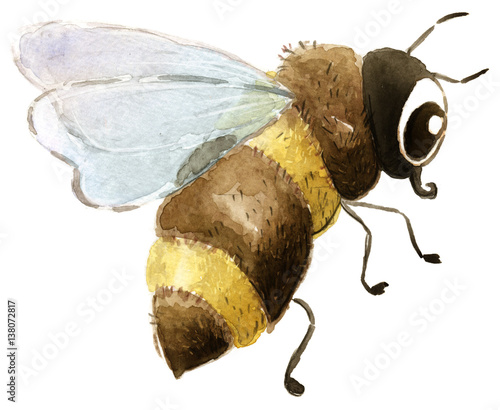 abeja volando photo