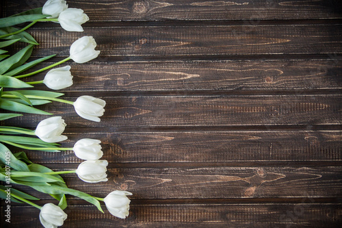 white tulips on white wooden background photo
