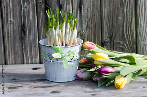 Fototapeta Naklejka Na Ścianę i Meble -  Blumenzwiebeln mit Tulpen vor Holzhintergrund