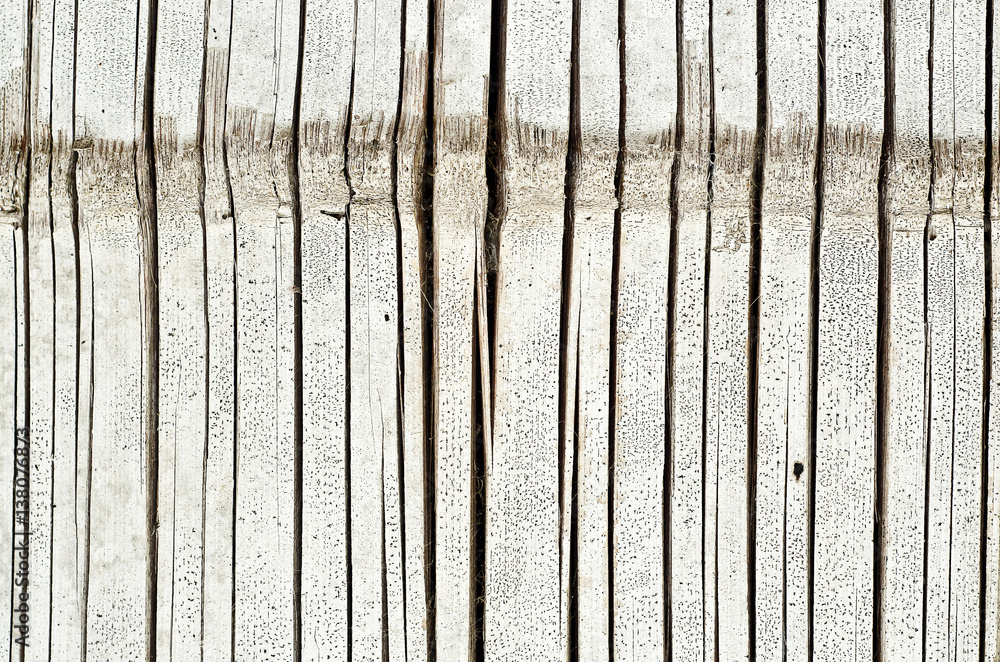 Fototapeta premium Wood Background Texture
