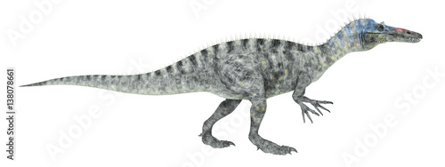 Dinosaur Suchomimus isolated on white background © Michael Rosskothen