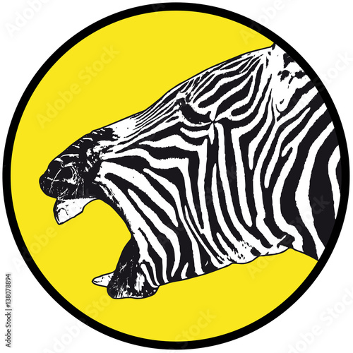 zebra laughing