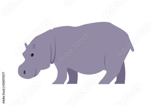 Hippo Vector Illustration in Flat Design