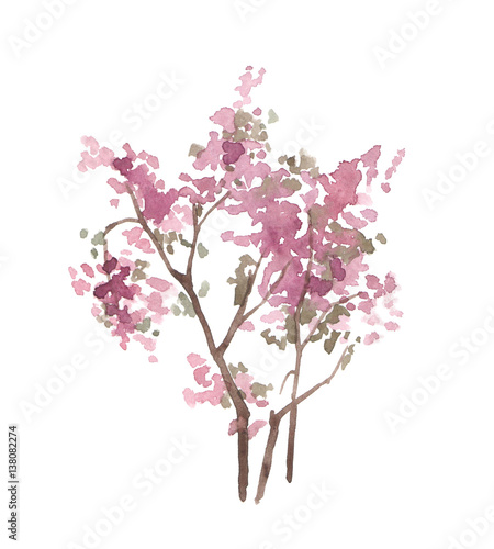 Watercolor pink tree isolated on white. Blossom bush. Spring. Cherry tree. Sakura.