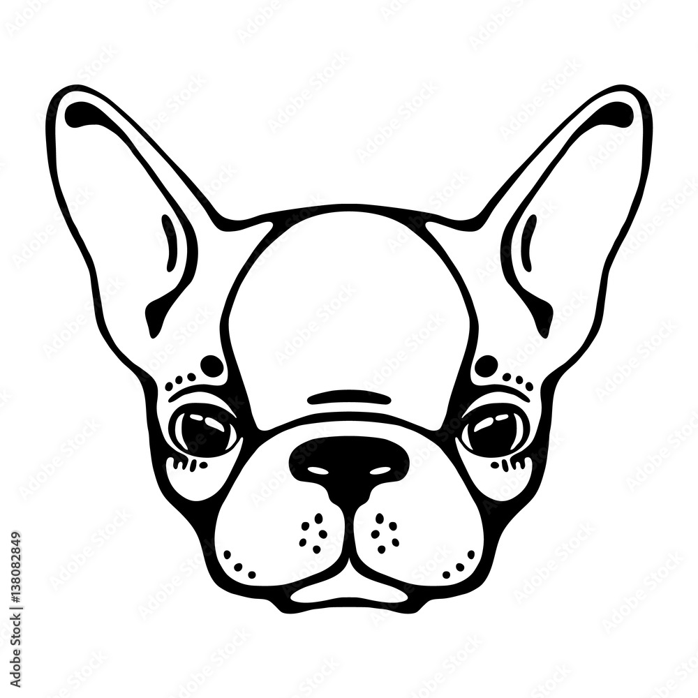 French bulldog head isolated on white background. Vector illustration