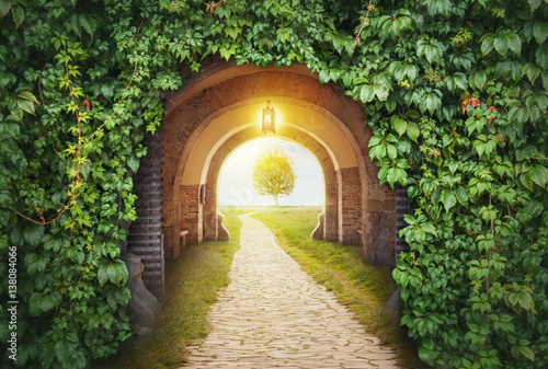 Fotografie Mysterious gate entrance in paradise