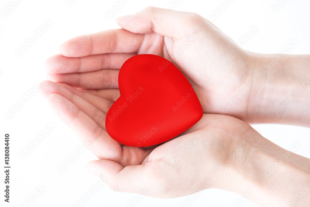 red heart in hands isolate on white background. red heart in hands isolate on white background.