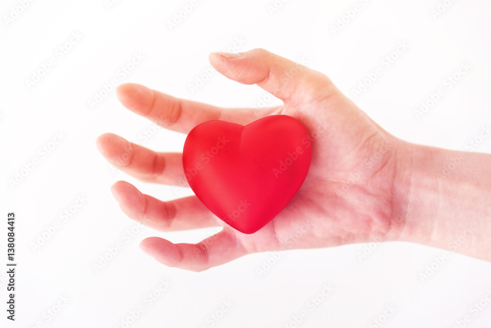 red heart in hands isolate on white background. red heart in hands isolate on white background.