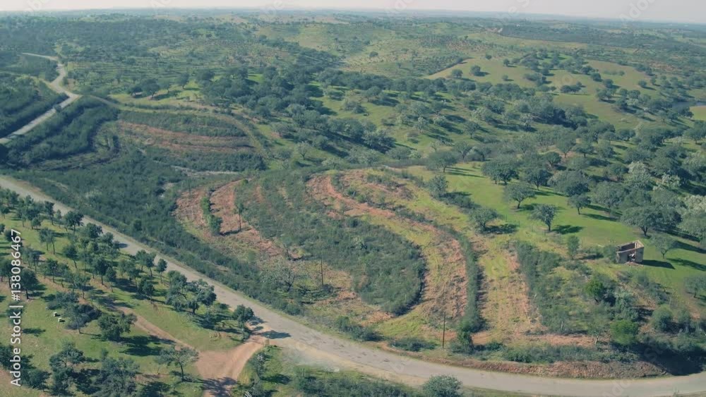 Aerial View Green Rural Landscape Aerial View Green Rural Landscape