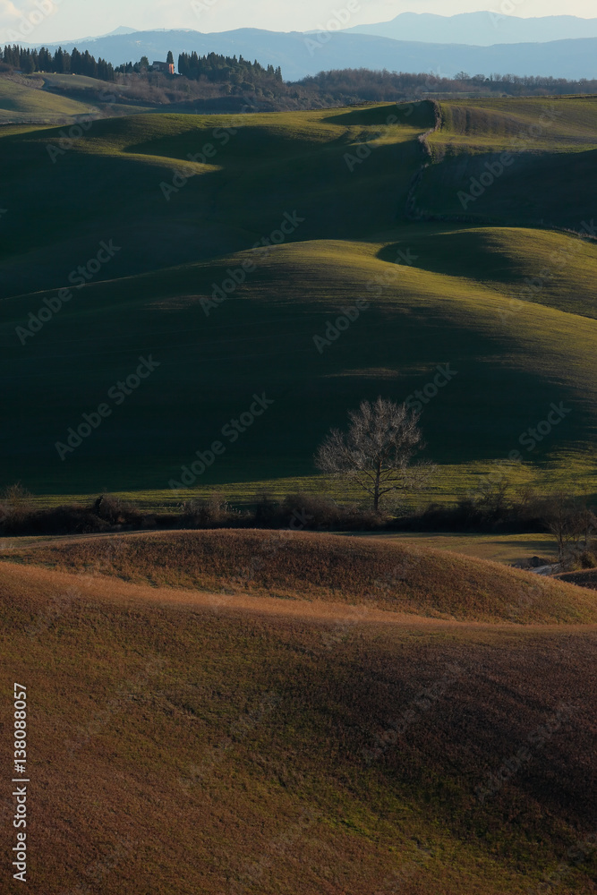 Typical landscape of Tuscany hills, Italy