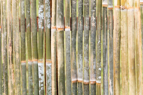 Background and texture of bamboo.