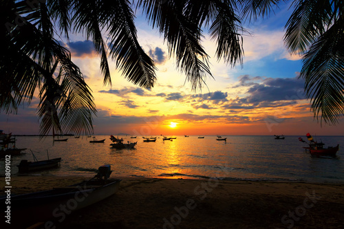 Fototapeta Naklejka Na Ścianę i Meble -  Dark silhouettes of palm trees and amazing cloudy sky on sunset at tropical island in Indian Ocean. Coconut Tree with Beautiful and romantic sunset. Koh Tao popular tourist destination in Thailand.