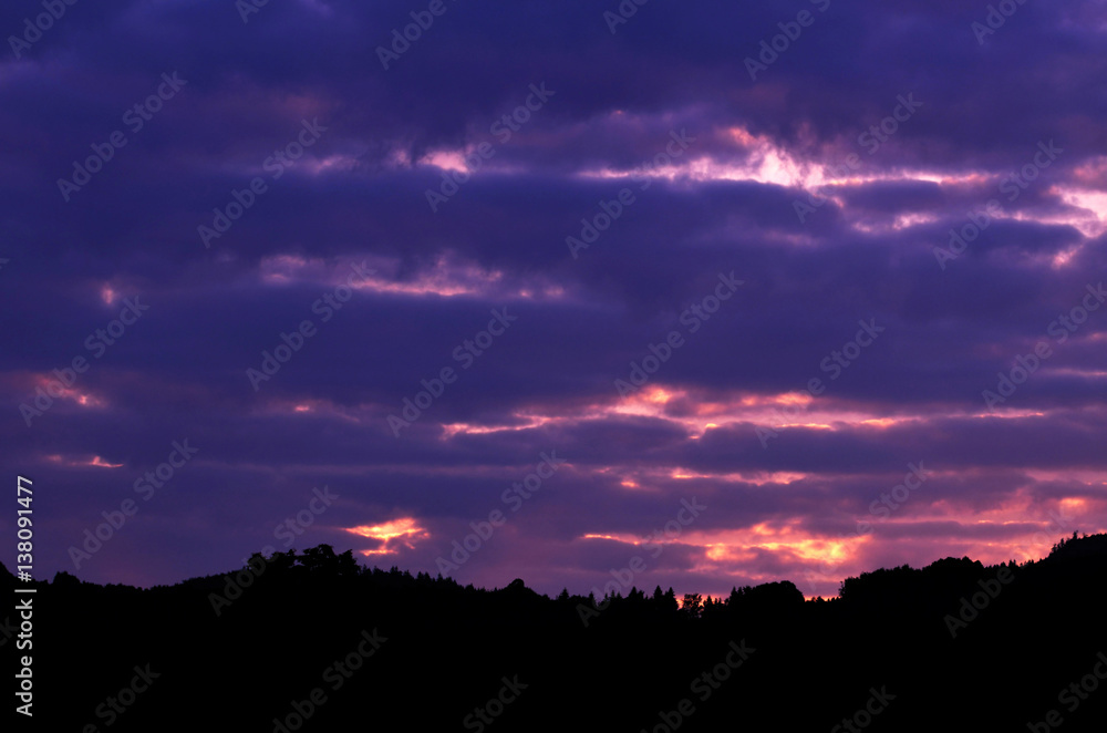 Beautiful purple, red sky above forest silhouette at sunset