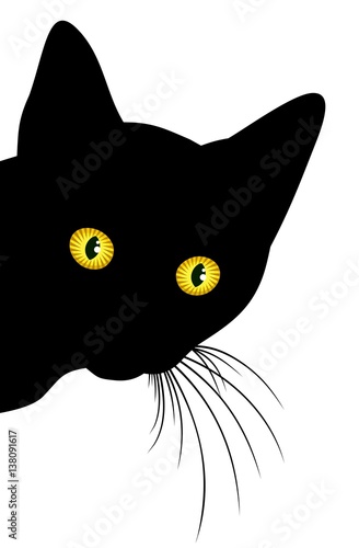 Predatory black cat.