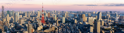 Photo Panorama view of Tokyo city at dusk time , Japan